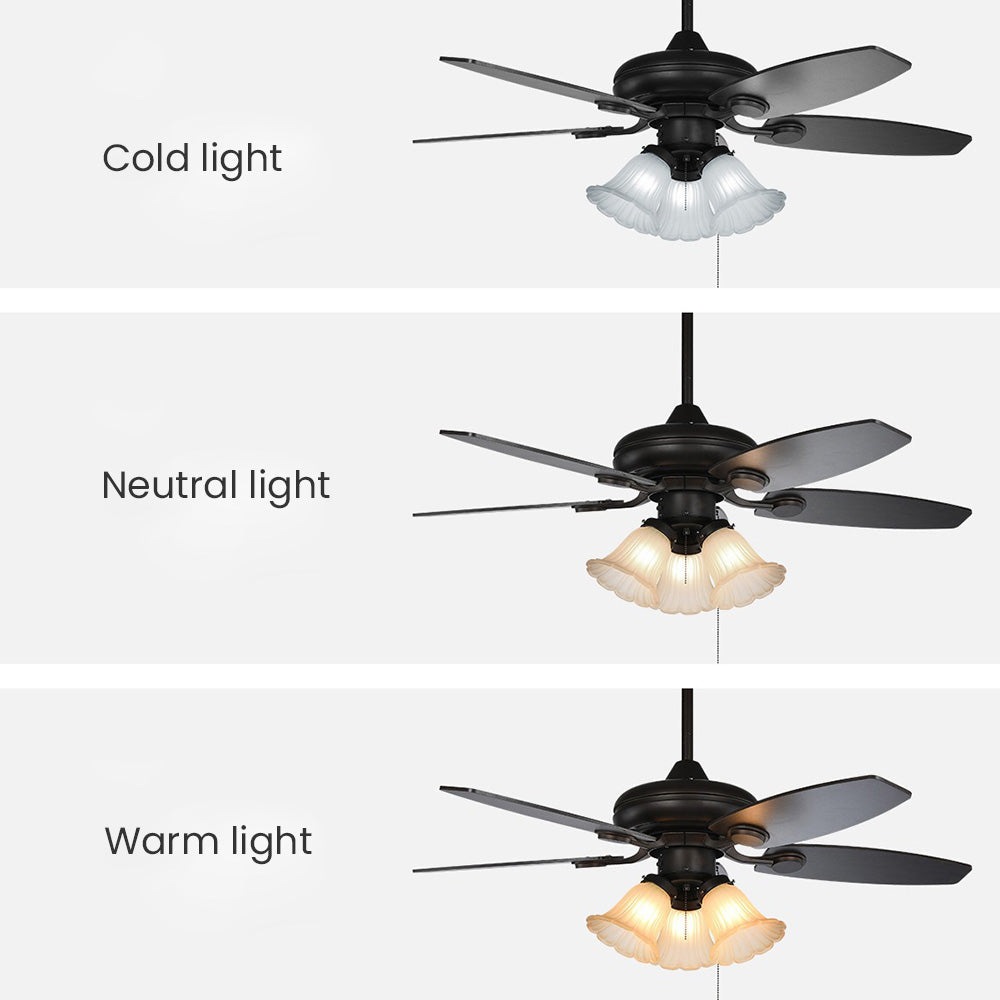 Contemporary Coffee Design Glass Ceiling Fans With Lights -Homdiy