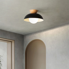 Nordic Eco-friendly Energy-efficient Ceiling Lamp Fixture -Homdiy