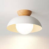 Modern Minimalist Eco-friendly Ceiling Light -Homdiy
